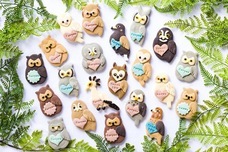 株式会社クリマロのプレスリリース画像3