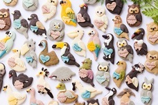 株式会社クリマロのプレスリリース画像8