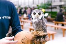 株式会社クリマロのプレスリリース画像7