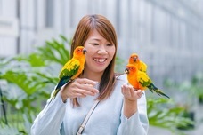 株式会社クリマロのプレスリリース画像6