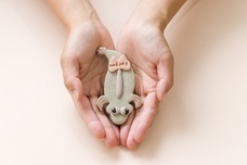 株式会社クリマロのプレスリリース画像10