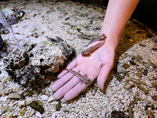 株式会社クリマロのプレスリリース画像2