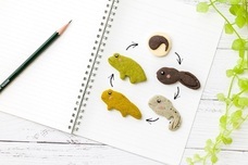 株式会社クリマロのプレスリリース画像1