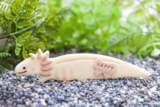 株式会社クリマロのプレスリリース画像1