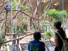 株式会社クリマロのプレスリリース画像1