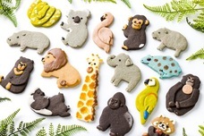 株式会社クリマロのプレスリリース画像4