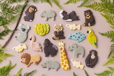 株式会社クリマロのプレスリリース画像10