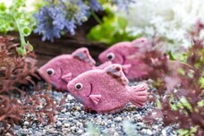 株式会社クリマロのプレスリリース画像5