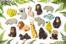 株式会社クリマロのプレスリリース画像9