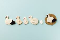 株式会社クリマロのプレスリリース画像6