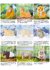 株式会社クリマロのプレスリリース画像7