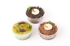 株式会社クリマロのプレスリリース画像9