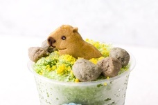 株式会社クリマロのプレスリリース画像17