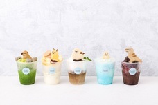 株式会社クリマロのプレスリリース画像8