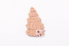 株式会社クリマロのプレスリリース画像12