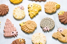 株式会社クリマロのプレスリリース画像6