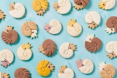 株式会社クリマロのプレスリリース画像11