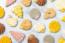 株式会社クリマロのプレスリリース画像7