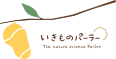 株式会社クリマロのプレスリリース画像10