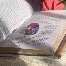 schonocesのプレスリリース画像1