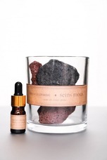 株式会社セインムーのプレスリリース画像3