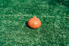 株式会社うずのくに南あわじのプレスリリース画像2