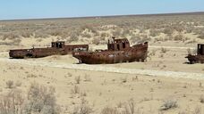 駐日ウズベキスタン共和国大使館のプレスリリース画像1