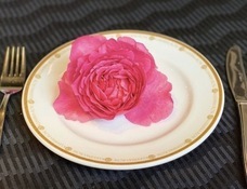 株式会社セボワールのプレスリリース画像5