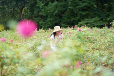 株式会社セボワールのプレスリリース画像3