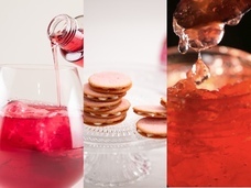 株式会社セボワールのプレスリリース画像6