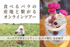 株式会社セボワールのプレスリリース画像5