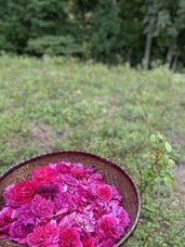 株式会社セボワールのプレスリリース画像1