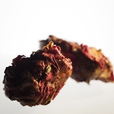 株式会社セボワールのプレスリリース画像5