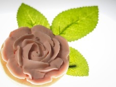 株式会社セボワールのプレスリリース画像4