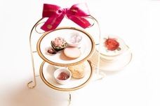 株式会社セボワールのプレスリリース画像3