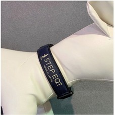 WORK SHOP STEP INTERNATIONAL 株式会社のプレスリリース画像1