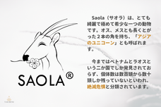 TAKIBENI株式会社のプレスリリース画像2