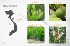 TAKIBENI株式会社のプレスリリース画像3