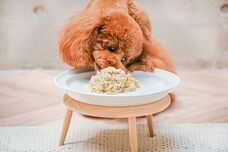 株式会社アムーブのプレスリリース画像2