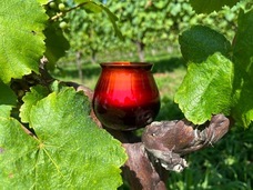 FEEL J株式会社　アール・ド・テロワール事業部のプレスリリース画像1