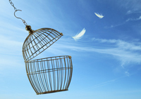 Dream Artのプレスリリース画像7