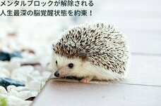 Dream Artのプレスリリース画像4