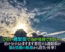 Dream Artのプレスリリース画像3