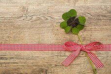 Dream Artのプレスリリース画像2