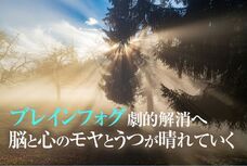 Dream Artのプレスリリース画像1