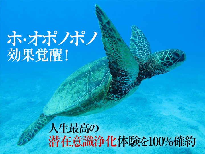 ホオポノポノのすごい効果を得るやり方 ホオポノポノの最強浄化クリーニング効果を約束 潜在意識 ウニヒピリ に即浸透するやり方 お金 恋愛 幸福を引き寄せ Dream Art Laboratoryのプレスリリース ホオポノポノのすごい効果を得るやり方 ホオポノポノの最強浄化クリーニング効果を約束 潜在意識 ウニヒピリ に即浸透するやり方 お金 恋愛 幸福を引き寄せ Dream Art Laboratoryのプレスリリース