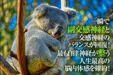 Dream Artのプレスリリース画像1