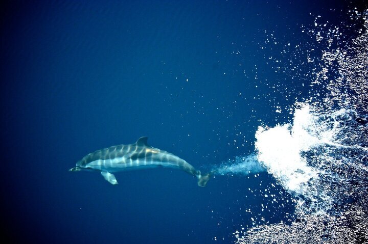 神経質を治すには 治したいけれど治すに治せない神経質な性格 根本から改善克服 ストレスで疲れるだけ しんどい神経質をやめたい人へ革命的な神経質の治し方提供 Dream Art Laboratoryのプレスリリース 神経質を治すには 治したいけれど治すに治せない神経質な性格 根本から改善克服 ストレスで疲れるだけ しんどい神経質をやめたい人へ革命的な神経質の治し方提供 Dream Art Laboratoryのプレスリリース