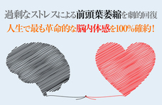 Dream Artのプレスリリース画像4