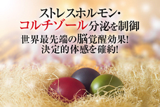 Dream Artのプレスリリース画像3